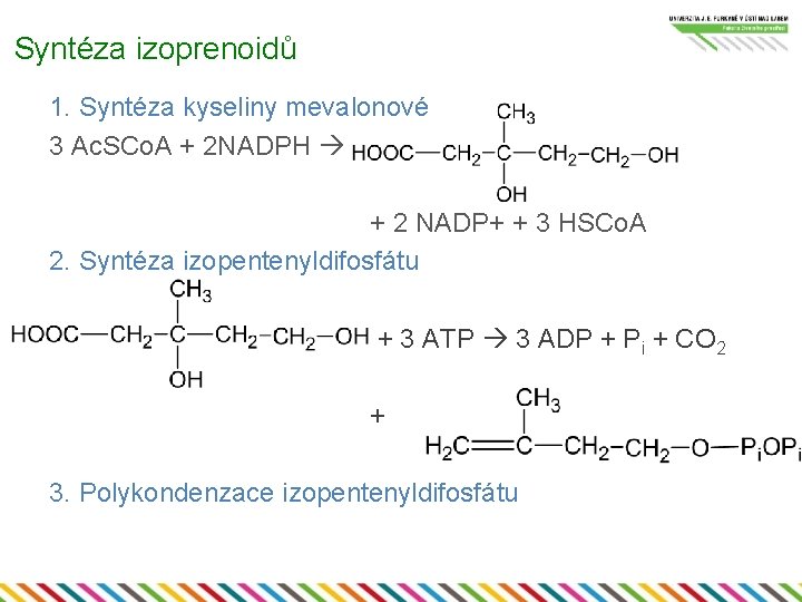 Syntéza izoprenoidů 1. Syntéza kyseliny mevalonové 3 Ac. SCo. A + 2 NADPH +