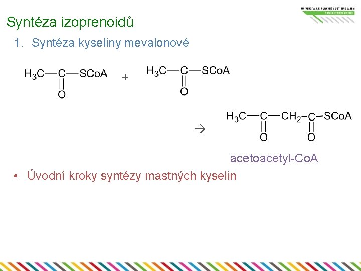 Syntéza izoprenoidů 1. Syntéza kyseliny mevalonové + acetoacetyl-Co. A • Úvodní kroky syntézy mastných