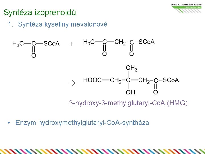 Syntéza izoprenoidů 1. Syntéza kyseliny mevalonové + 3 -hydroxy-3 -methylglutaryl-Co. A (HMG) • Enzym