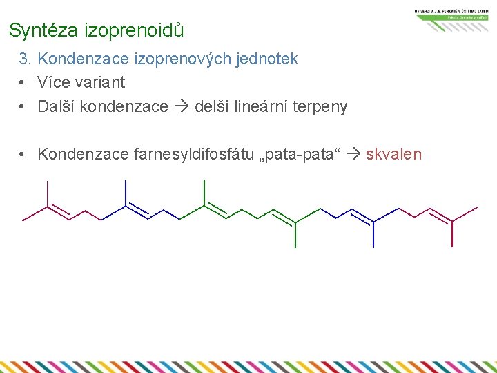 Syntéza izoprenoidů 3. Kondenzace izoprenových jednotek • Více variant • Další kondenzace delší lineární