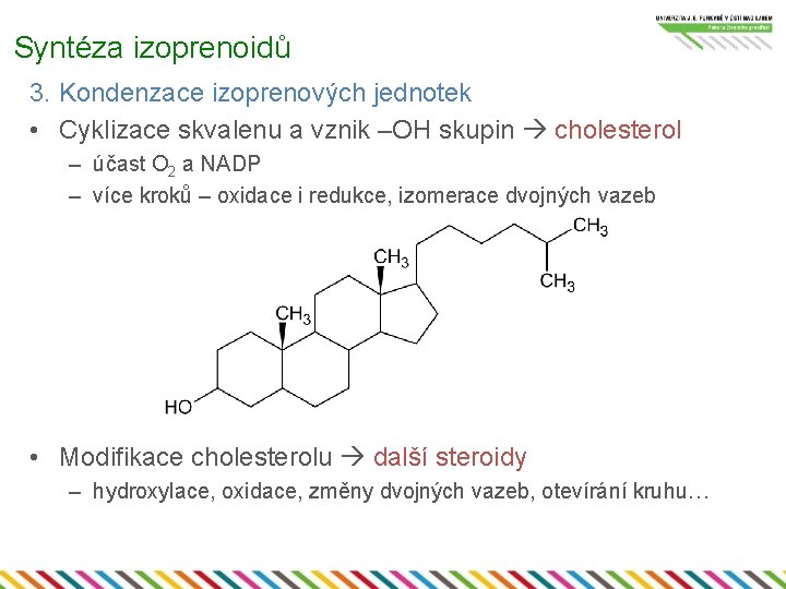 Syntéza izoprenoidů 3. Kondenzace izoprenových jednotek • Cyklizace skvalenu a vznik –OH skupin cholesterol