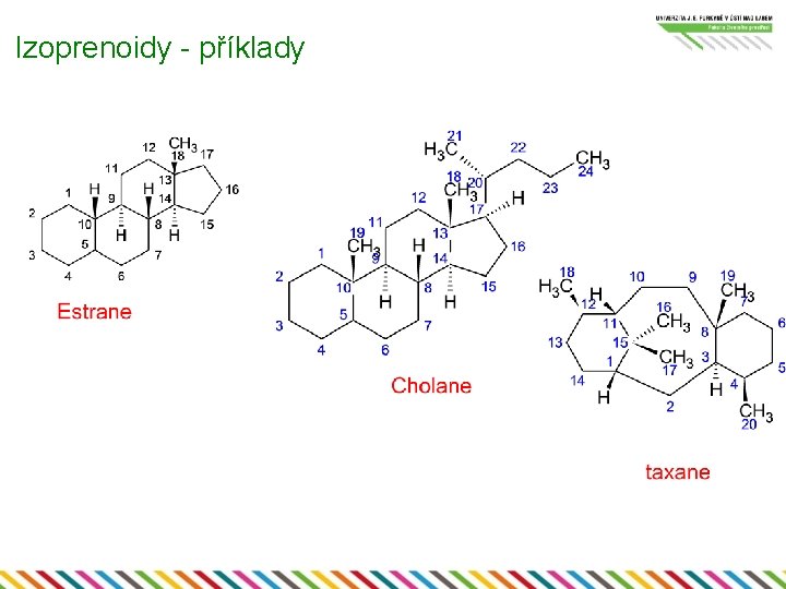 Izoprenoidy - příklady 