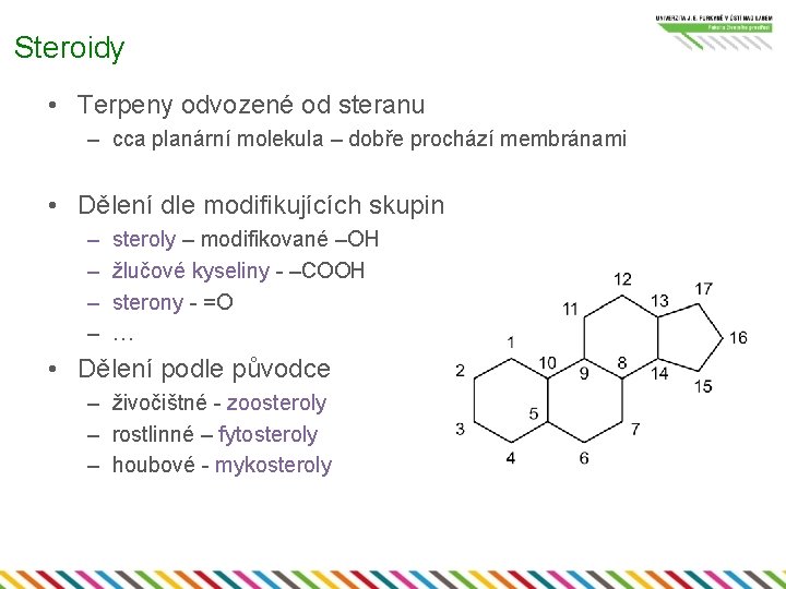 Steroidy • Terpeny odvozené od steranu – cca planární molekula – dobře prochází membránami