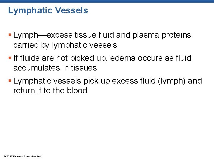 Lymphatic Vessels § Lymph—excess tissue fluid and plasma proteins carried by lymphatic vessels §
