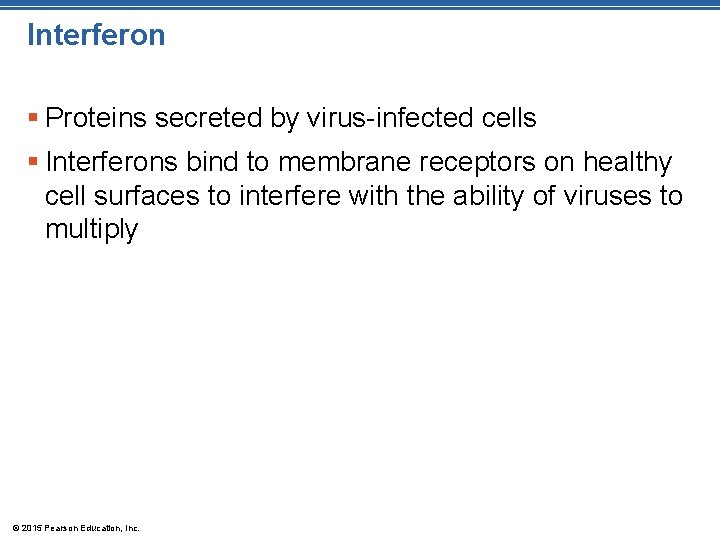 Interferon § Proteins secreted by virus-infected cells § Interferons bind to membrane receptors on