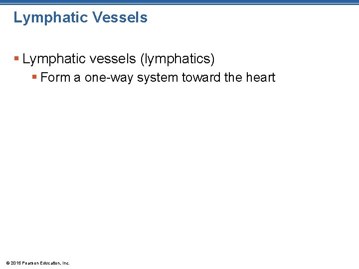 Lymphatic Vessels § Lymphatic vessels (lymphatics) § Form a one-way system toward the heart