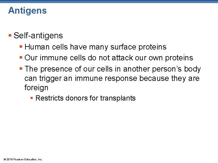 Antigens § Self-antigens § Human cells have many surface proteins § Our immune cells