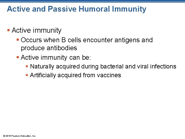 Active and Passive Humoral Immunity § Active immunity § Occurs when B cells encounter