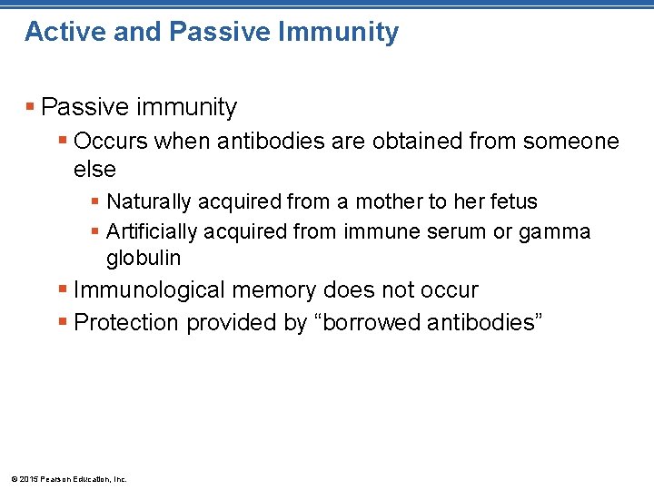 Active and Passive Immunity § Passive immunity § Occurs when antibodies are obtained from