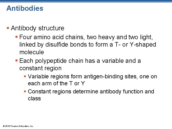 Antibodies § Antibody structure § Four amino acid chains, two heavy and two light,