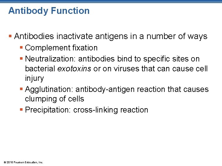 Antibody Function § Antibodies inactivate antigens in a number of ways § Complement fixation