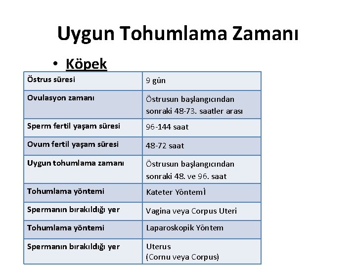 Uygun Tohumlama Zamanı • Köpek Östrus süresi 9 gün Ovulasyon zamanı Östrusun başlangıcından sonraki