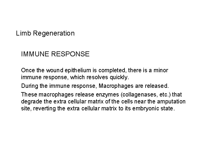 Limb Regeneration IMMUNE RESPONSE Once the wound epithelium is completed, there is a minor