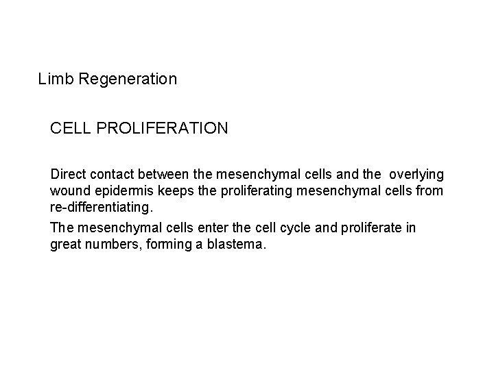 Limb Regeneration CELL PROLIFERATION Direct contact between the mesenchymal cells and the overlying wound