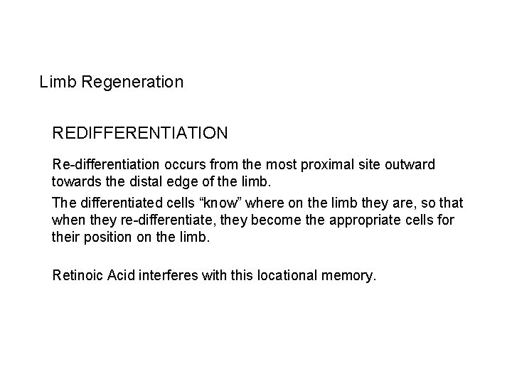Limb Regeneration REDIFFERENTIATION Re-differentiation occurs from the most proximal site outward towards the distal