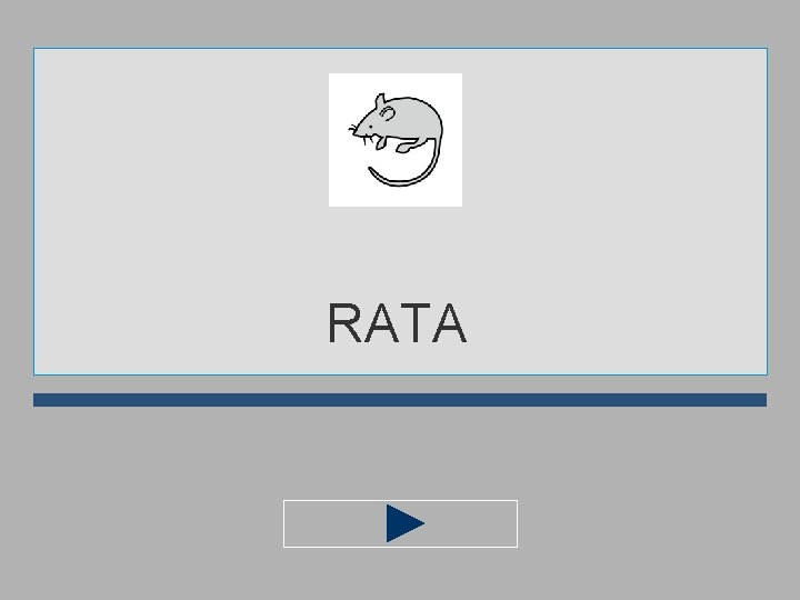 RATA 