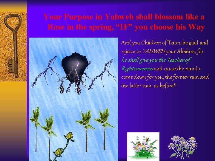 Your Purpose in Yahweh shall blossom like a Rose in the spring, “IF” you