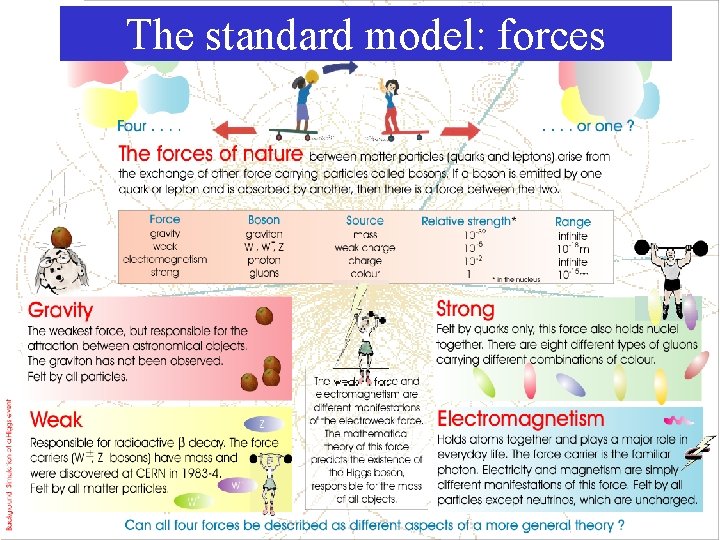 The standard model: forces 