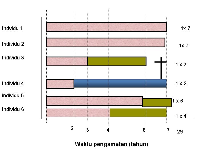 Indvidu 1 1 x 7 Individu 2 1 x 7 Individu 3 1 x