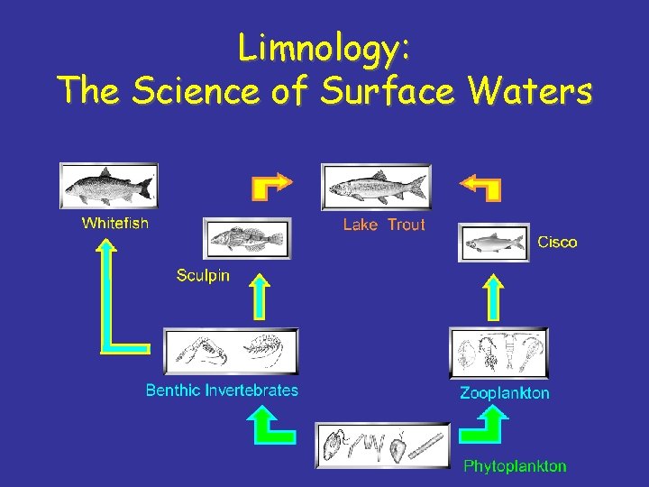 Limnology: The Science of Surface Waters 