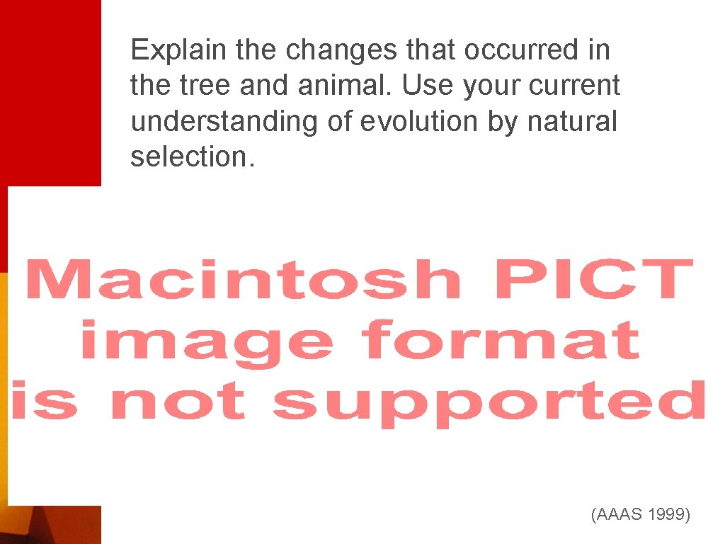 Explain the changes that occurred in the tree and animal. Use your current understanding