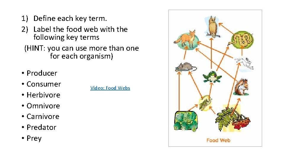 1) Define each key term. 2) Label the food web with the following key