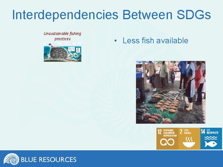 Interdependencies Between SDGs Unsustainable fishing practices • Less fish available 