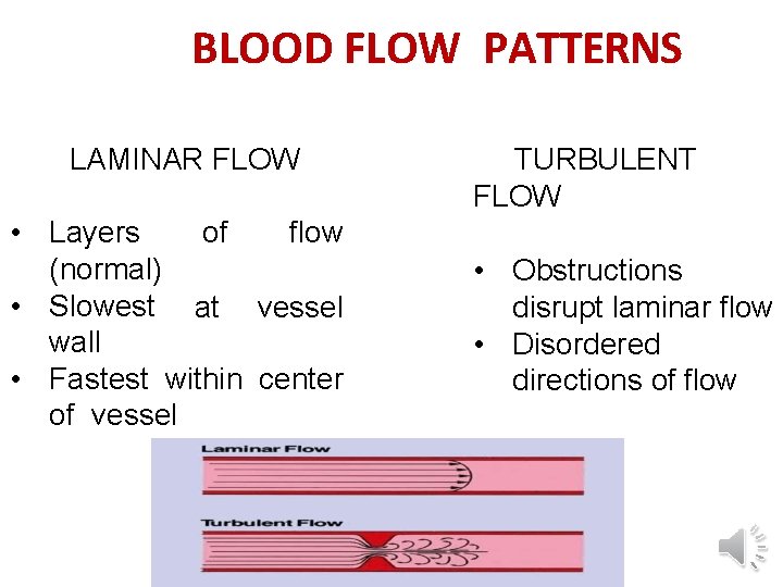 BLOOD FLOW PATTERNS LAMINAR FLOW • Layers of flow (normal) • Slowest at vessel