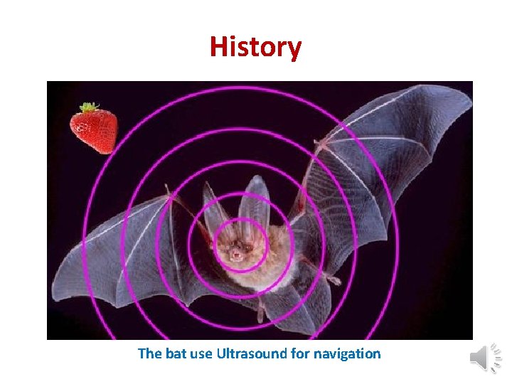 History The bat use Ultrasound for navigation 