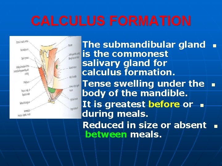 CALCULUS FORMATION The submandibular gland is the commonest salivary gland for calculus formation. Tense
