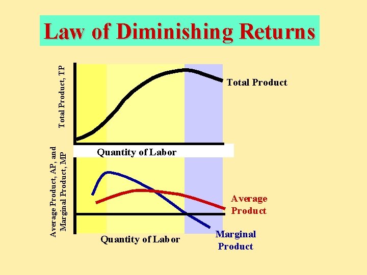 Average Product, AP, and Marginal Product, MP Total Product, TP Law of Diminishing Returns