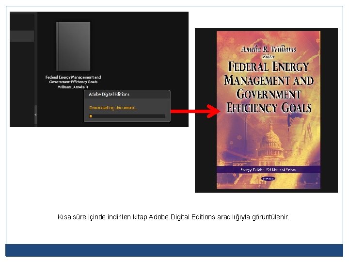 Kısa süre içinde indirilen kitap Adobe Digital Editions aracılığıyla görüntülenir. 