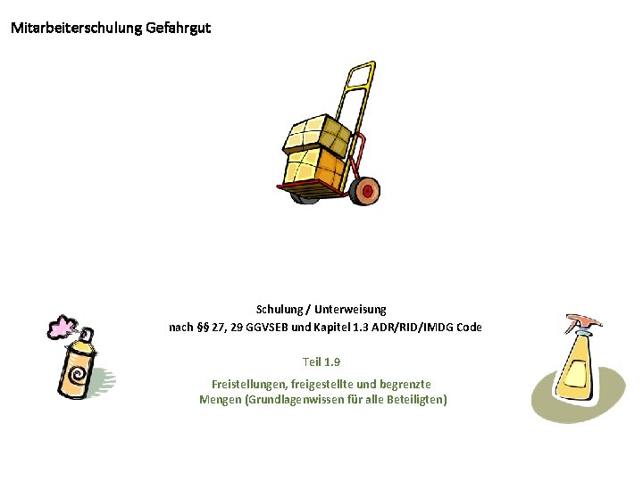 Mitarbeiterschulung Gefahrgut Schulung / Unterweisung nach §§ 27, 29 GGVSEB und Kapitel 1. 3