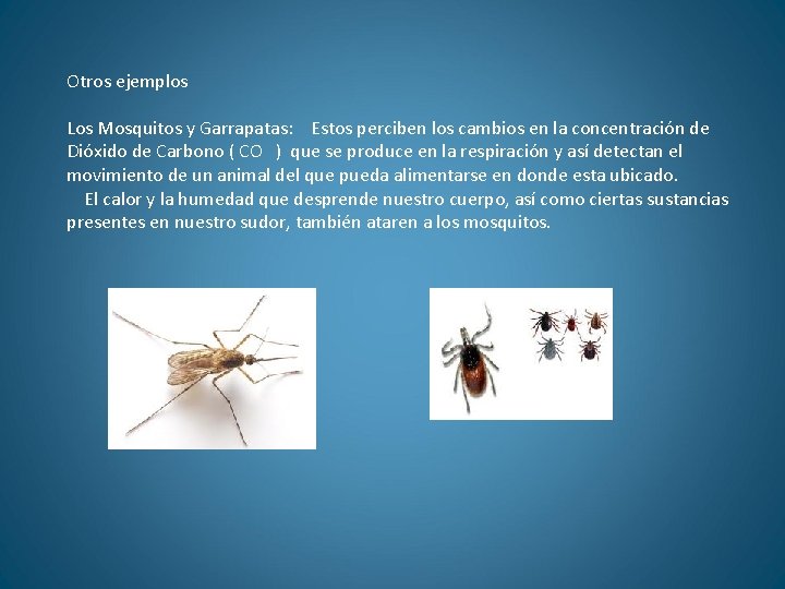 Otros ejemplos Los Mosquitos y Garrapatas: Estos perciben los cambios en la concentración de