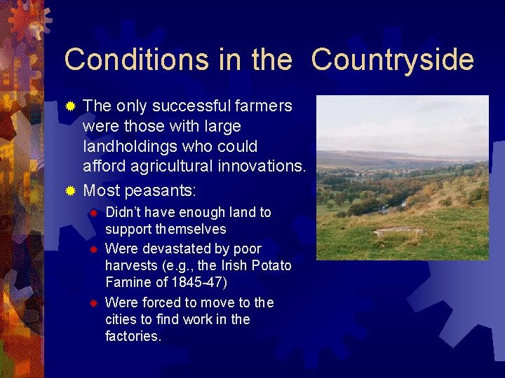 Conditions in the Countryside The only successful farmers were those with large landholdings who