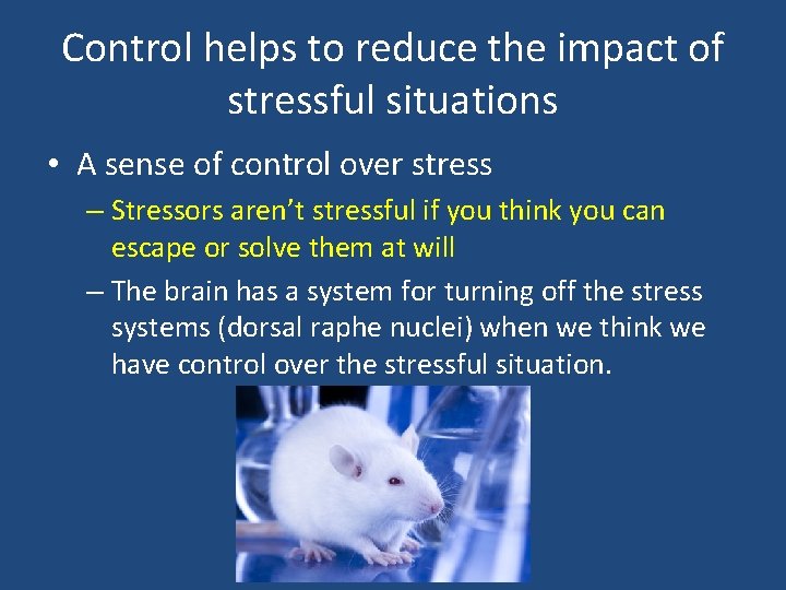 Control helps to reduce the impact of stressful situations • A sense of control