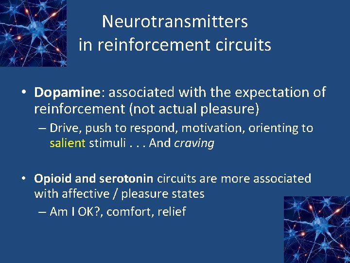 Neurotransmitters in reinforcement circuits • Dopamine: associated with the expectation of reinforcement (not actual