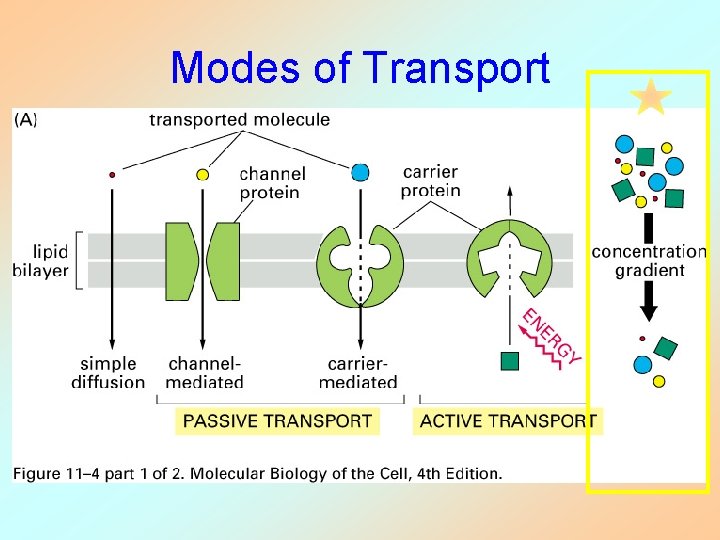 Modes of Transport 