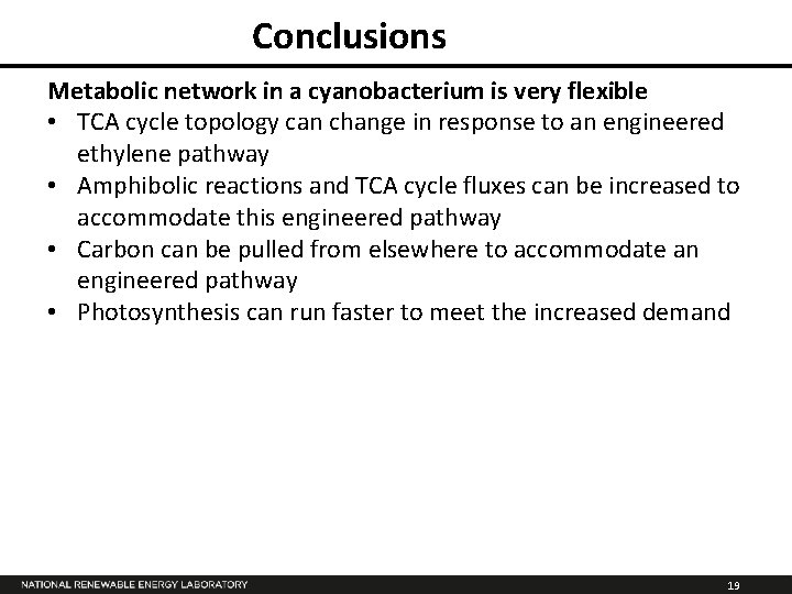 Conclusions Metabolic network in a cyanobacterium is very flexible • TCA cycle topology can
