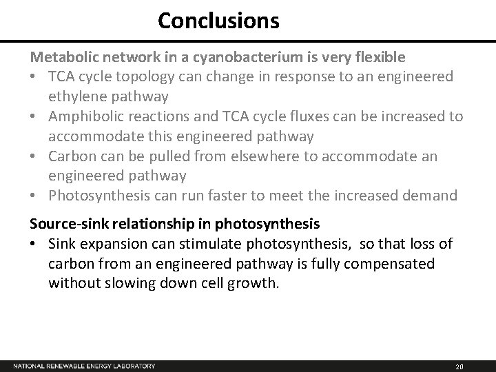 Conclusions Metabolic network in a cyanobacterium is very flexible • TCA cycle topology can