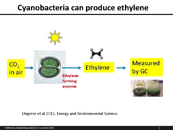 Cyanobacteria can produce ethylene CO 2 in air Ethyleneforming enzyme Measured by GC Ungerer