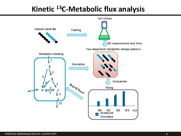 Kinetic 13 C-Metabolic flux analysis Cell culture Isotopic substrate Feeding MS measurement over time