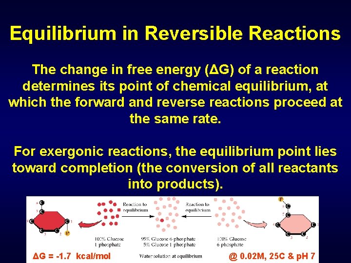 Equilibrium in Reversible Reactions The change in free energy (ΔG) of a reaction determines