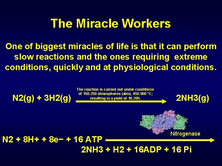 The Miracle Workers One of biggest miracles of life is that it can perform