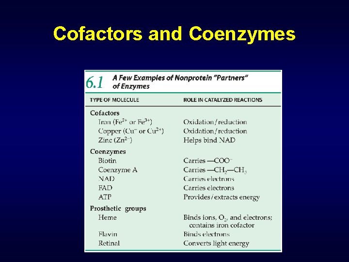 Cofactors and Coenzymes 