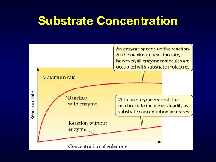 Substrate Concentration 