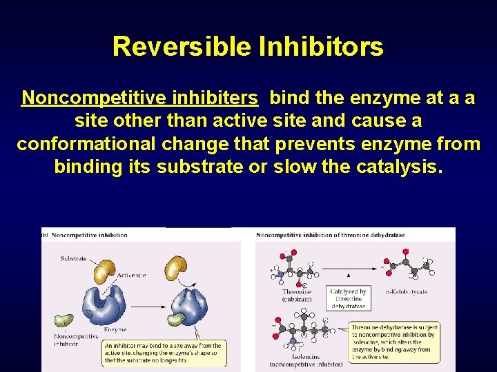 Reversible Inhibitors Noncompetitive inhibiters bind the enzyme at a a site other than active