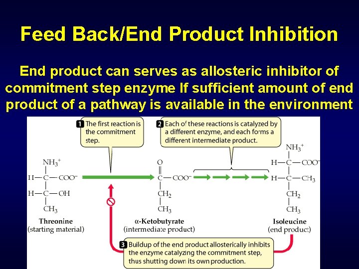 Feed Back/End Product Inhibition End product can serves as allosteric inhibitor of commitment step