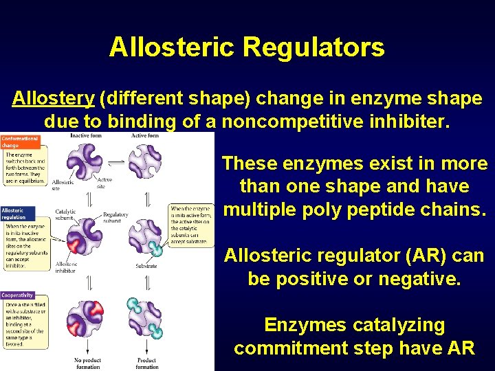 Allosteric Regulators Allostery (different shape) change in enzyme shape due to binding of a