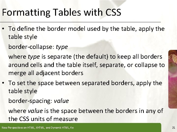 Formatting Tables with CSS XP • To define the border model used by the